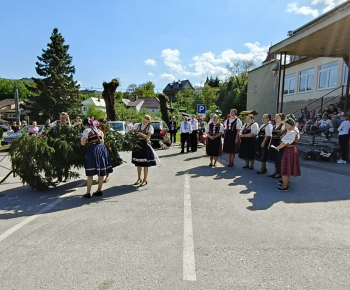 Kultúra / Stavanie mája na 1. mája