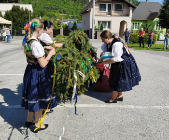 Kultúra / Stavanie mája na 1. mája