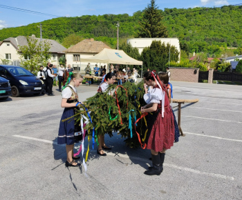 Kultúra / Stavanie mája na 1. mája