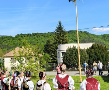 Kultúra / Stavanie mája na 1. mája