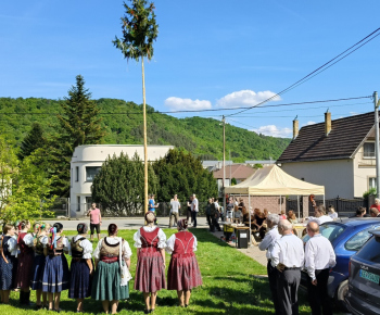 Kultúra / Stavanie mája na 1. mája
